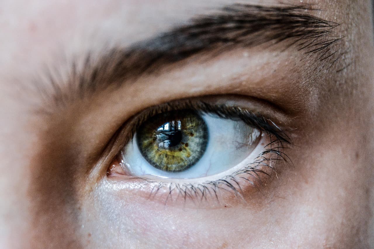 Close-up of a full, natural eyebrow above a hazel eye