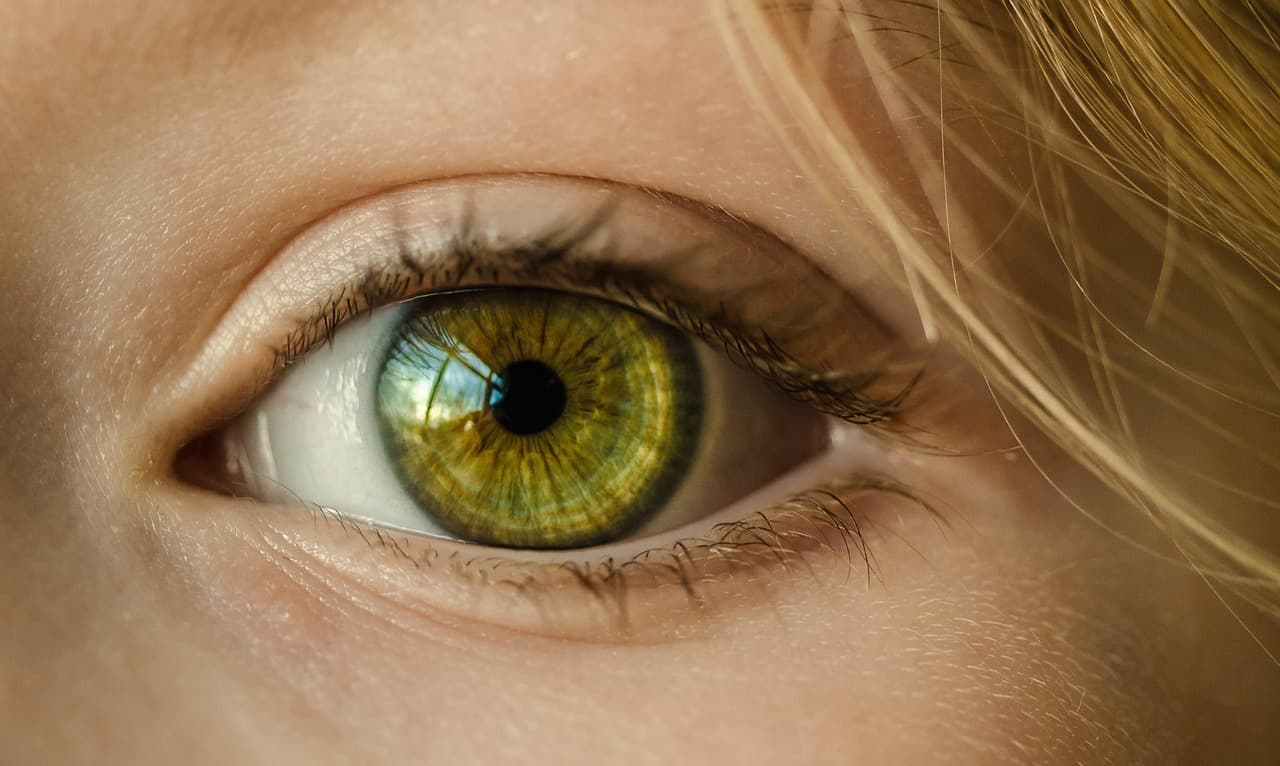 A defined brow arching over a green eye
